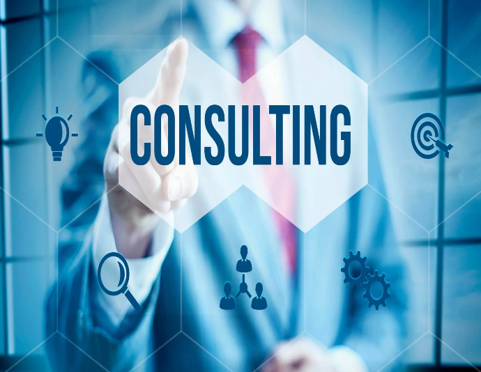 IT Consultancy